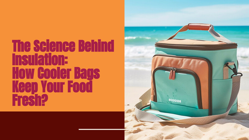La science derrière l'isolation : comment les sacs isothermes gardent vos aliments frais | LOI